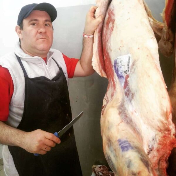 El Novillito bailantero